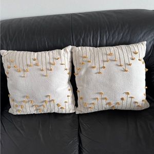Ten couch pillows for 50
